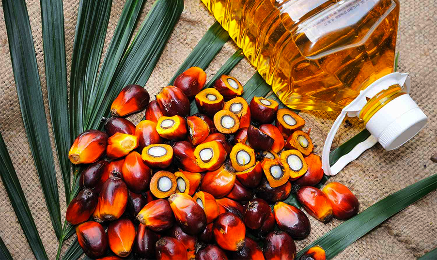 Palm Oil